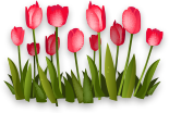 тюльпаны на 8 марта с доставкой